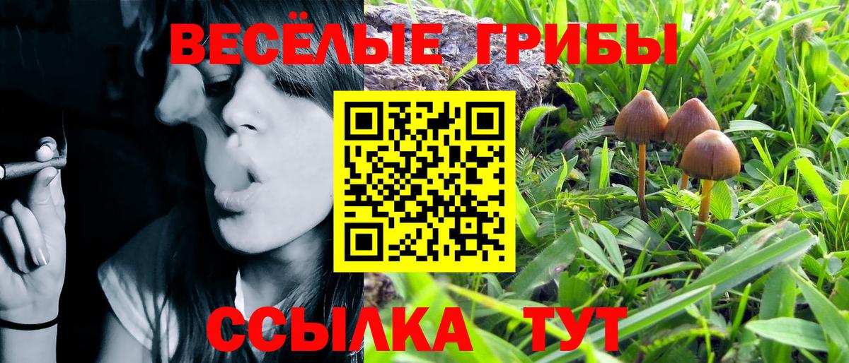 Псилоцибиновые грибы Psilocybe  даркнет сайт  Галлюциногенные грибы Cubensis  Азов  Вход с VPN 
